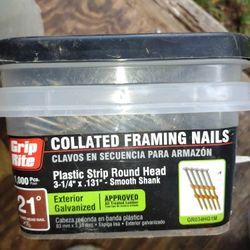 21° Framing Nails, 3 1/4 In 
