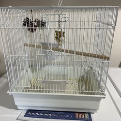 Cage