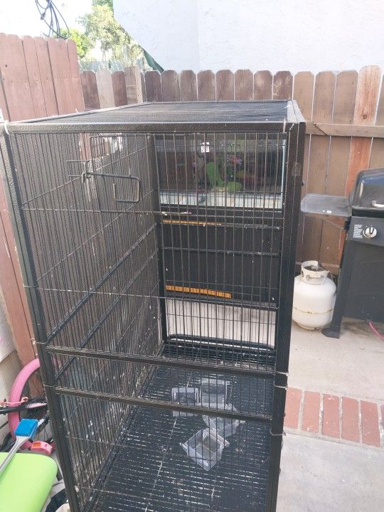 Big Bird Cage