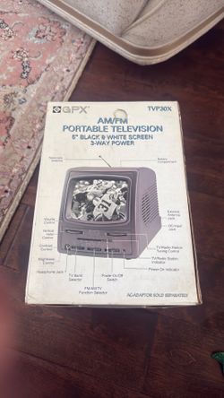 Portable television