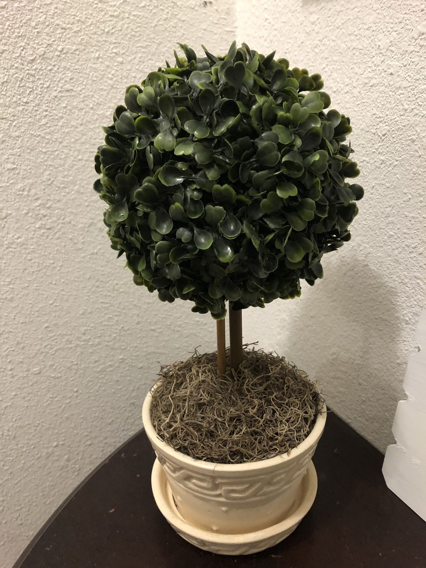 Kissing Balls Boxwood Leaves Topiary With ceramic beige vase