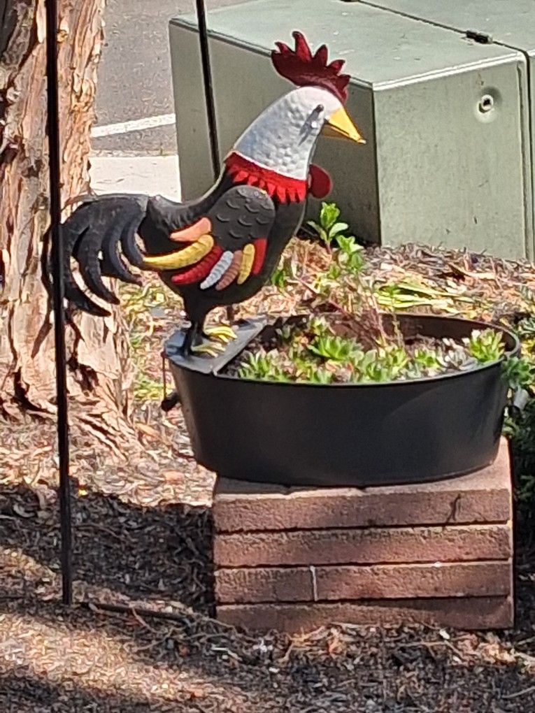 Flower Pot