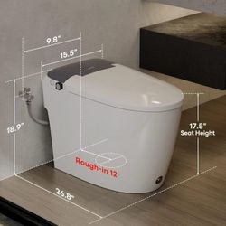 Wholesale and retail all-in-one elongated toilet with cleaning function, ADA comfortable seat height, foot flush,  1.0GPF Button  W10V