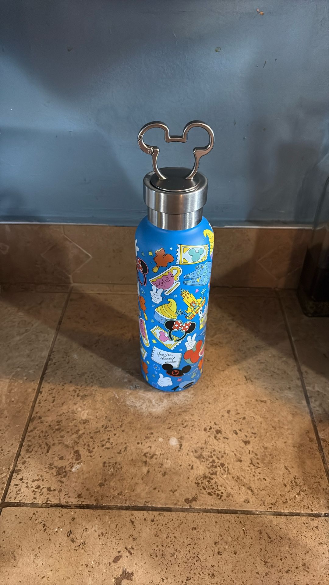 Disneyland Water Bottle.