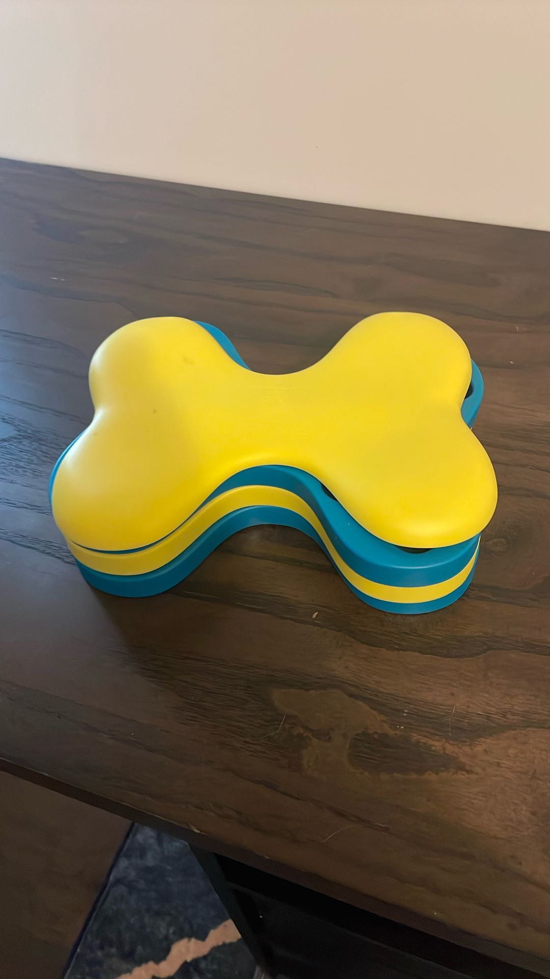 Dog Treat bone Puzzle Play