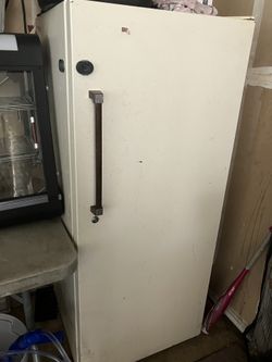 Stand Up Deep Freezer
