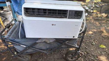 Ac lg