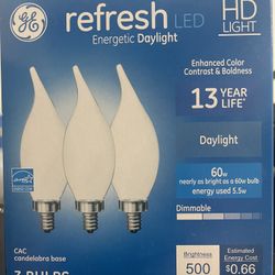 2 New Dimmable Bulbs
