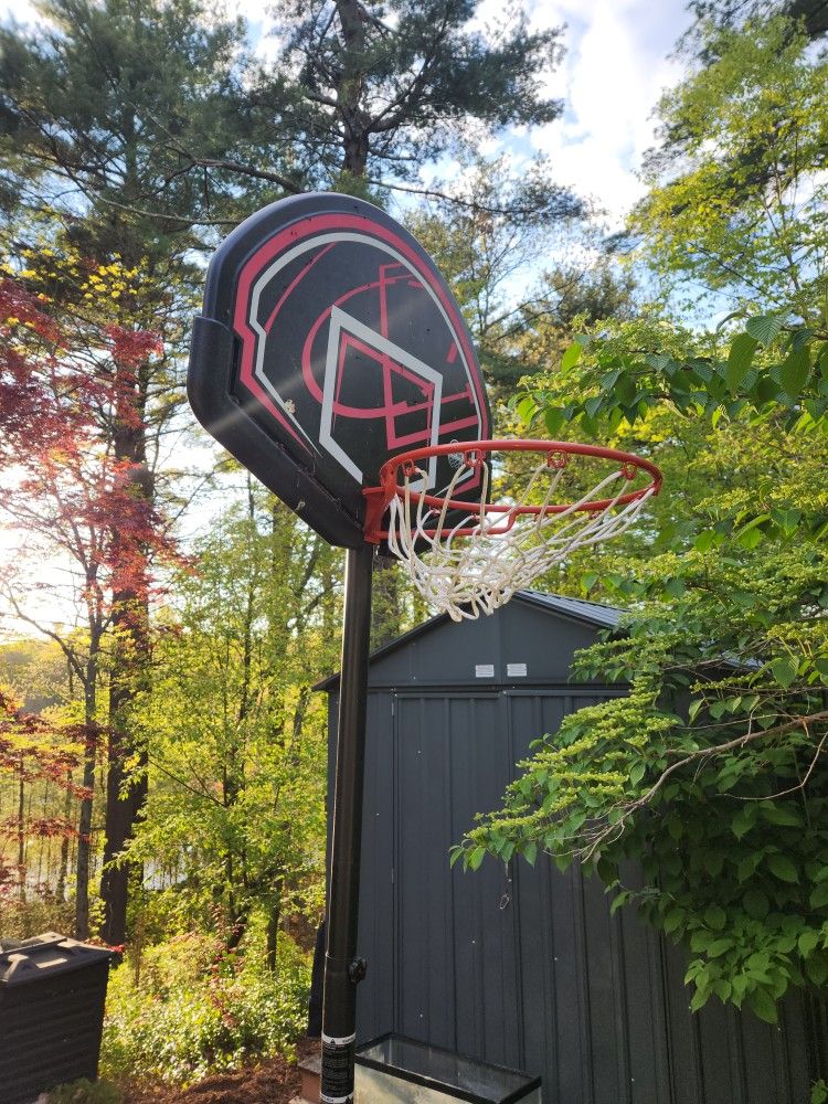 8ft Basketball Hoop