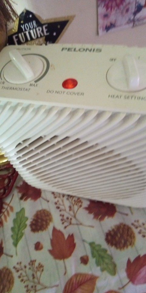 Fan Plus Heater Fan Works Good $10.00