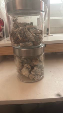 Gourmet mushrooms