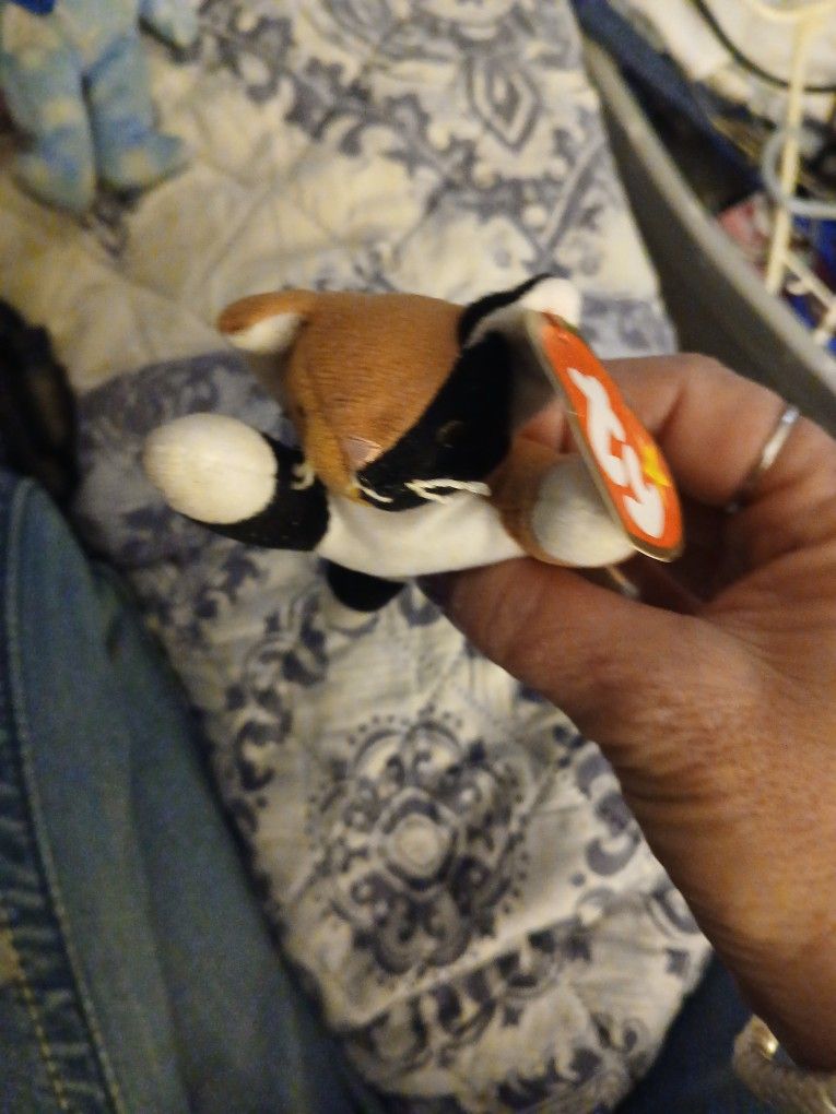 Cat Beanie Baby