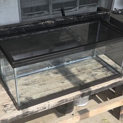 medium sized glass cage