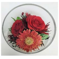 Flowers Natural Rose and Gerbera in a Glass Vase 