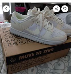 Nike dunks like new