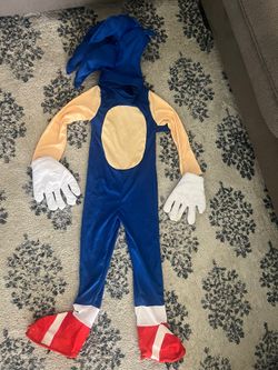 Sonic Costume