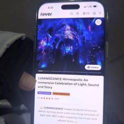 Luminescence Lights Show For One Family Available At35%off From The Original 