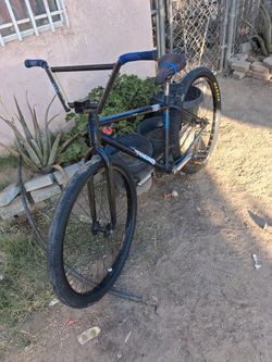 29er