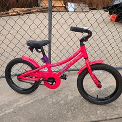 Miss Daisy Jamis bike