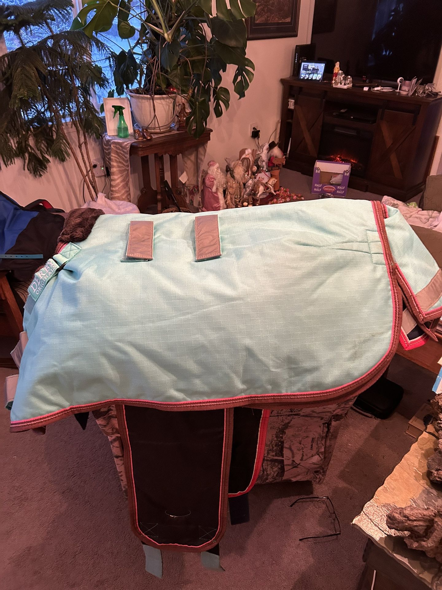Blankets for foal,mini horse/ pony 🥶🥶🥶