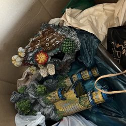 Fish Tank and  accessories