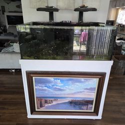 110 Gallon Salt Water Fish Tank