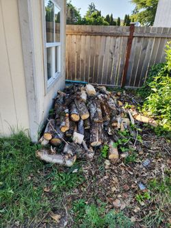 Free wood