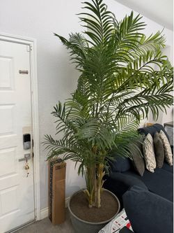 Artificial Palm tree