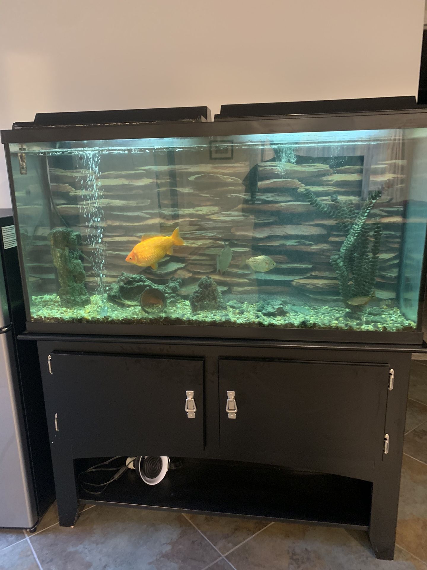 90 Gallon Aquarium with Stand, Filter, Heather and Supplies