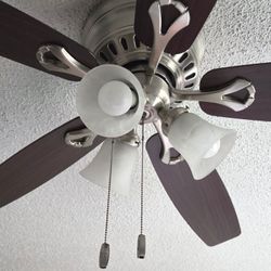 Hunter Ceiling Fan