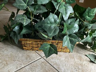 Set Of 2 Rectangular Wicker Baskets With Ivy