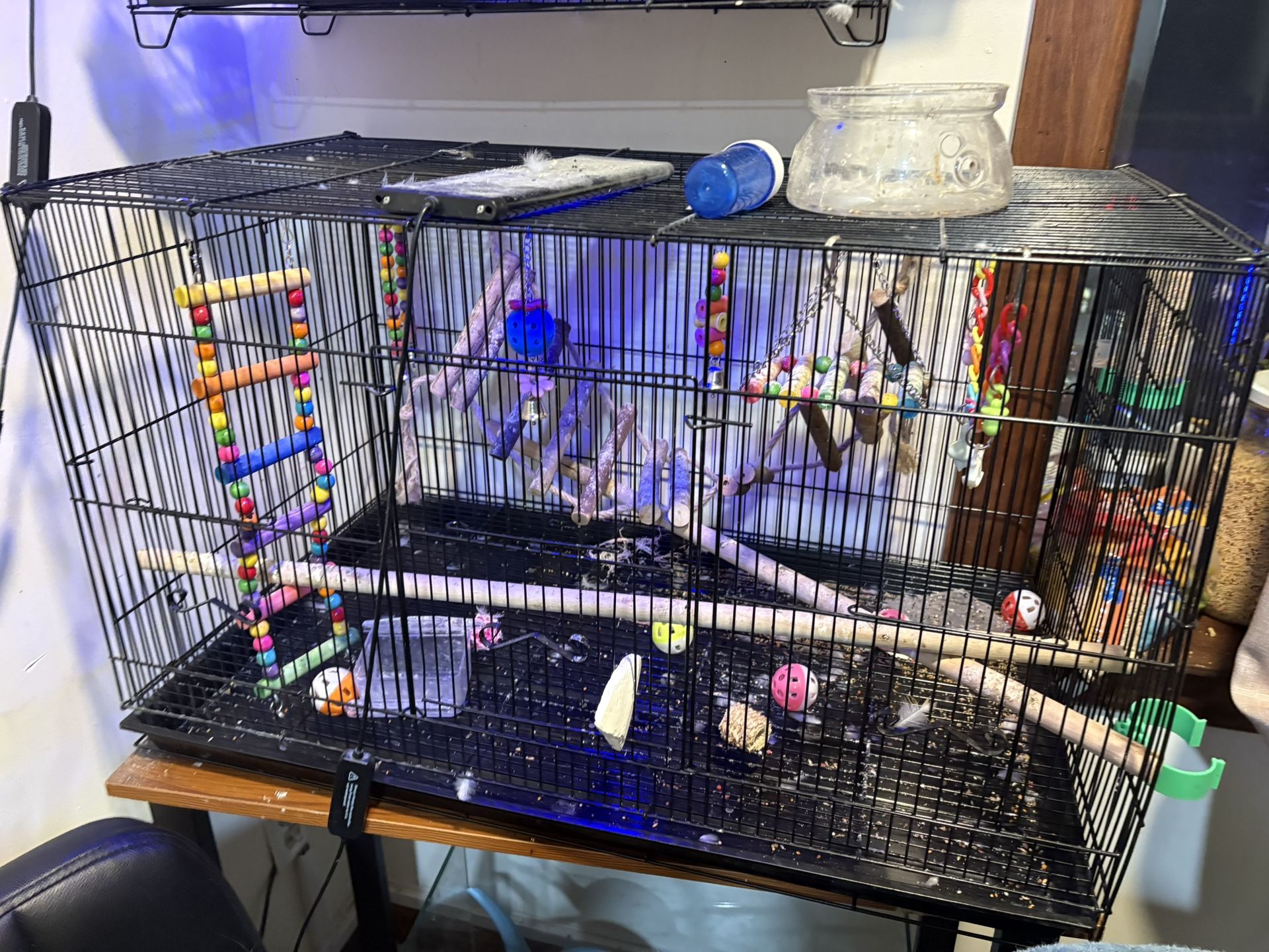 Bird Cage