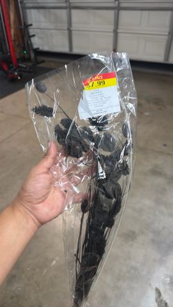 Black Ruscus Floral Stems Bundle