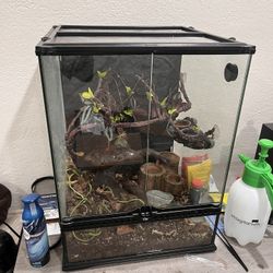 Terrarium Reptizoo