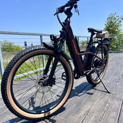 💯NEW Radster Trail Ebike - Large Radrunner - Rad Power Bikes 