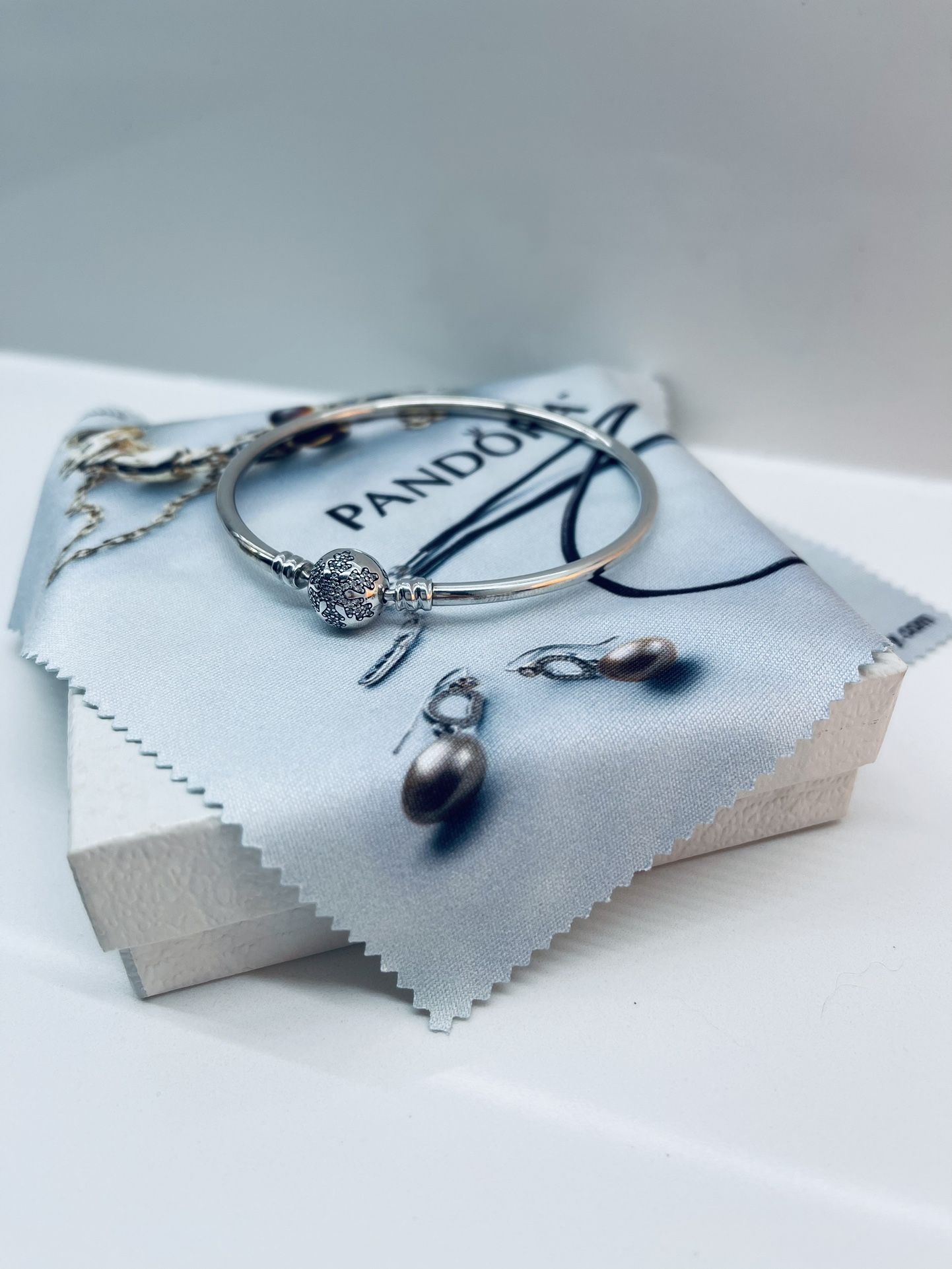 Limited Edition Pandora Bracelet Case Authentic New Pandora