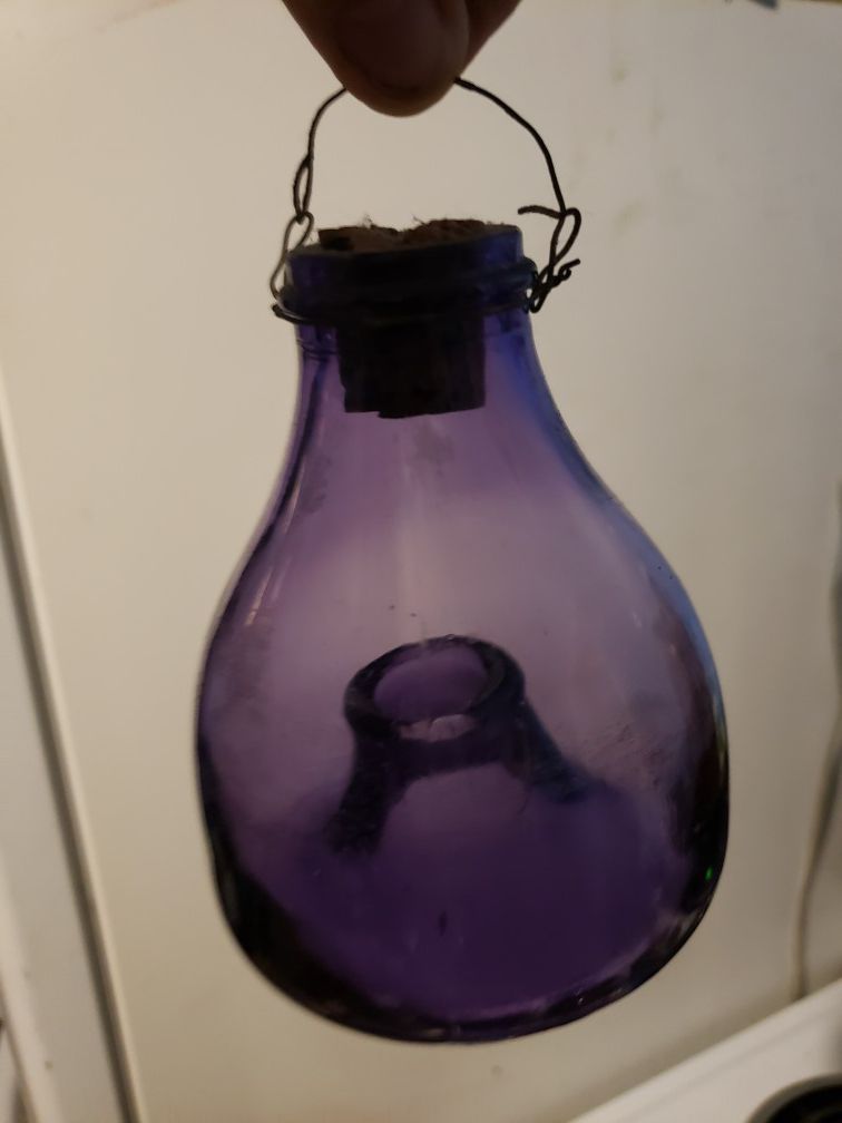 Antique Amethyst Fly Catcher (glass)