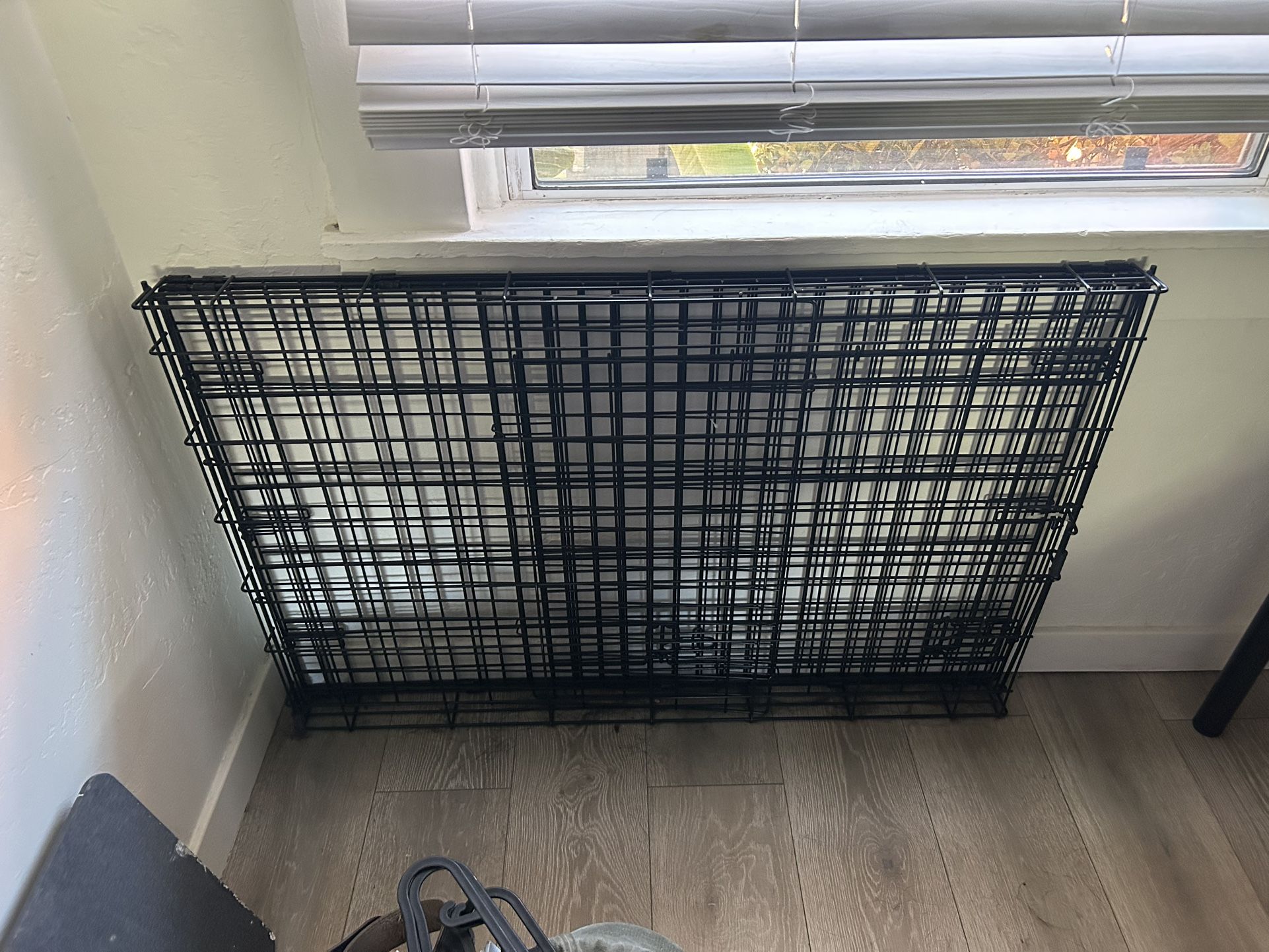 XL Dog Crate from Petco