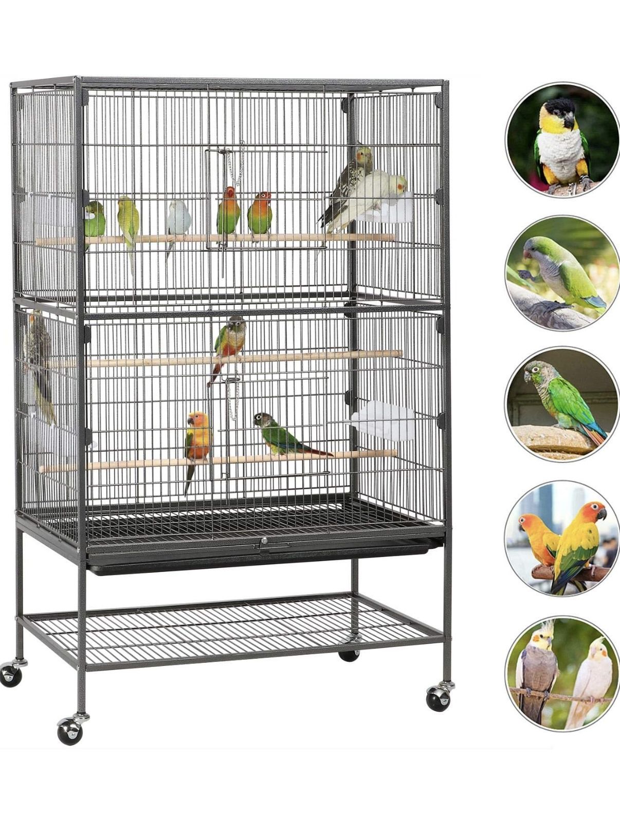 Bird Cage