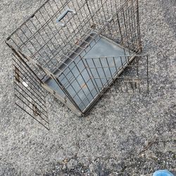 Dog Cage 