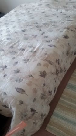 Comforter  Size  Queen 