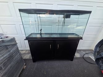 55 Gallon Fish Tank Aquarium