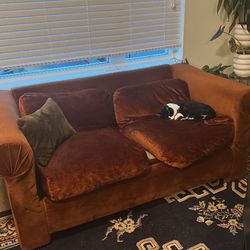 Burnt orange velvet loveseat