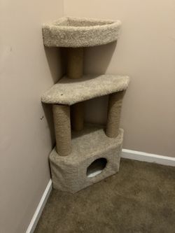 Cat Thing For With Home In The Bottom