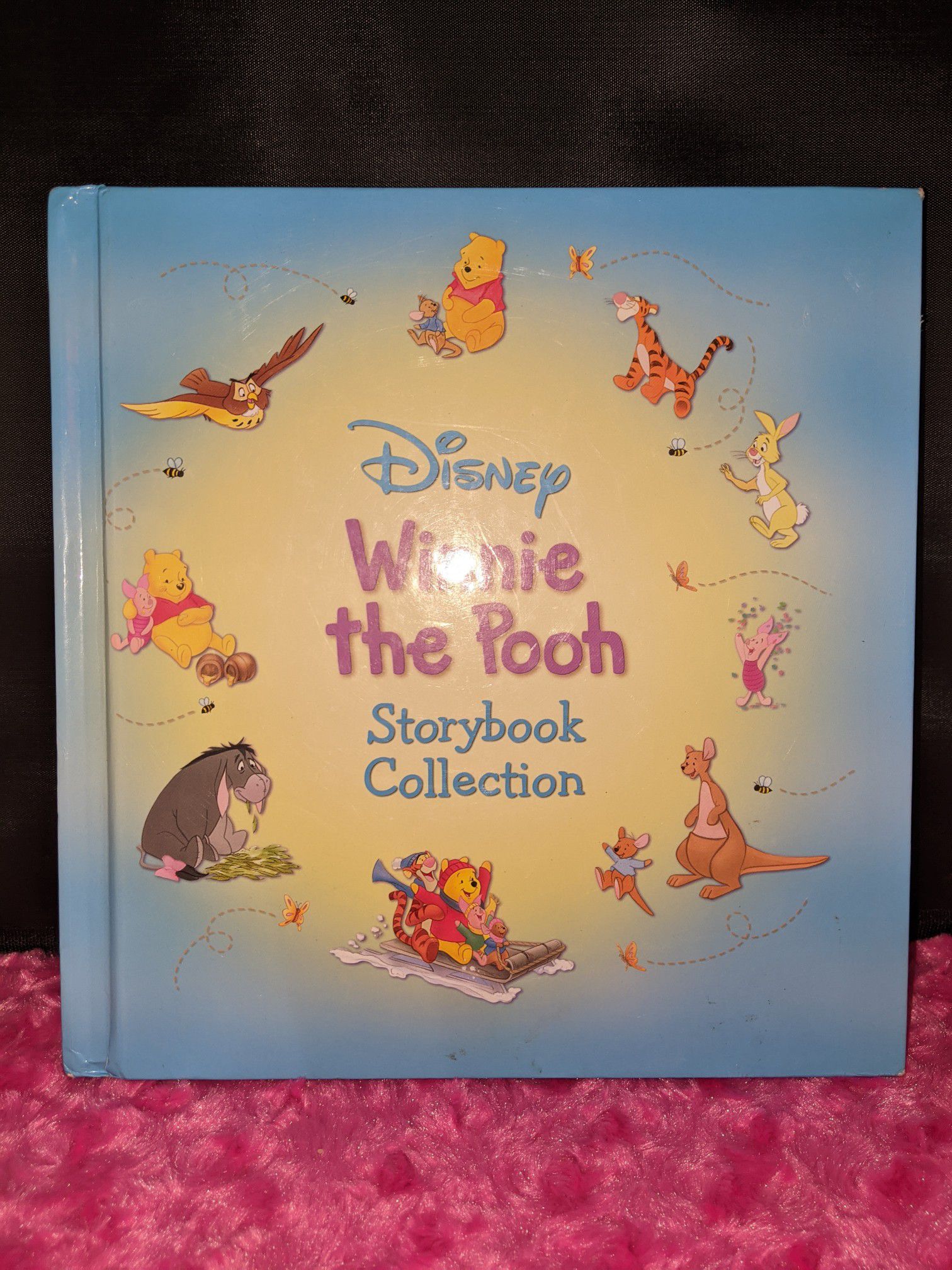 Disney Winnie the Pooh Storybook