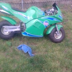 Mini Bike 