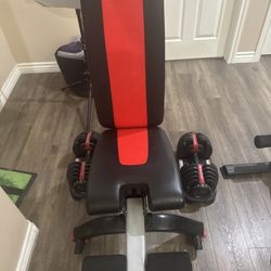 Bowflex Adjustable Dumbbell Set + Bench