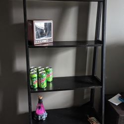 Shelf ladder Bookcase