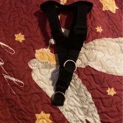 Dog Harness