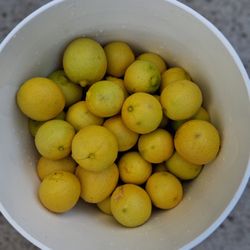 40 Organic Ripe Key Limes